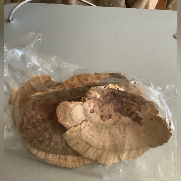 Terrarium Mushroom Ledge - Picture 3 of 4